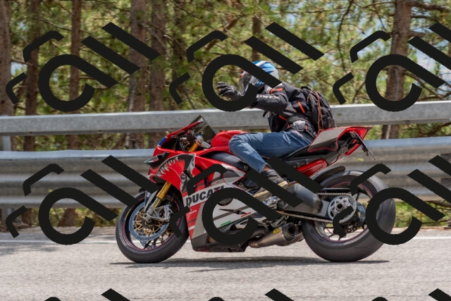 202508031423-DSC_2687_c4_