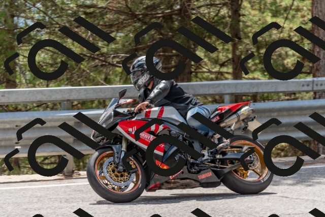 202508031423-DSC_2689_c4_