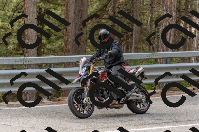 202508031424-DSC_2692_c4_