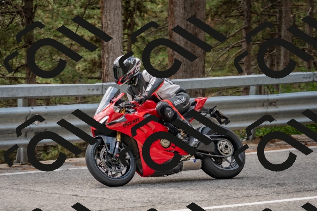 202508031424-DSC_2696_c4_