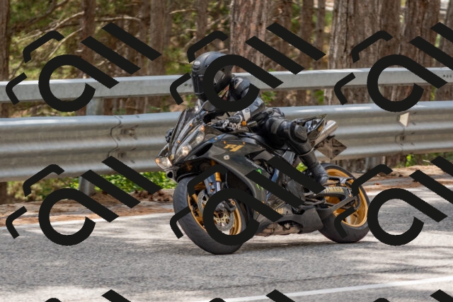 202508031426-DSC_2703_c4_