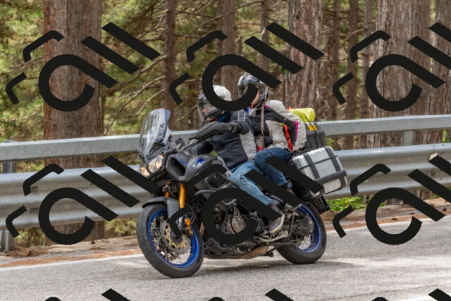 202508031428-DSC_2706_c4_