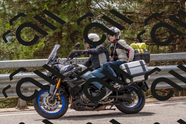 202508031428-DSC_2707_c4_