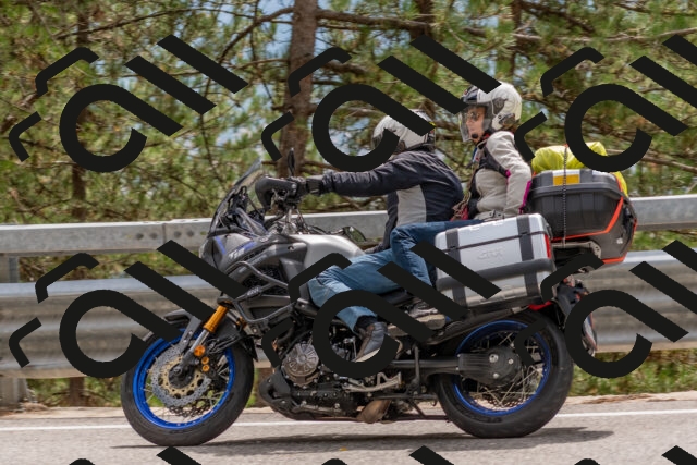 202508031428-DSC_2708_c4_