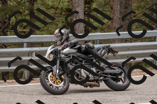 202508031432-DSC_2710_c4_