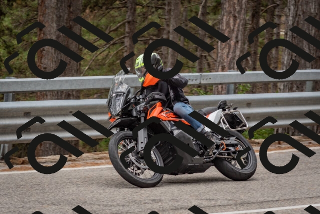 202508031432-DSC_2713_c4_