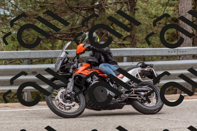 202508031432-DSC_2714_c4_