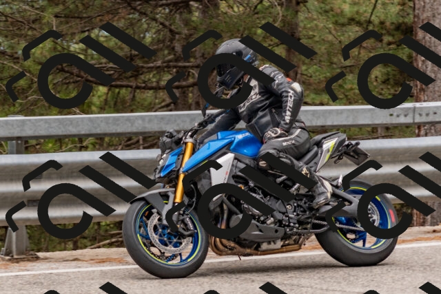 202508031433-DSC_2716_c4_