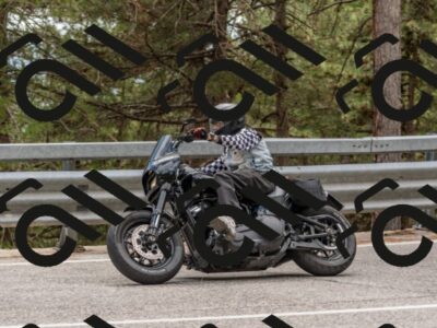 202508031440-DSC_2742_c4_