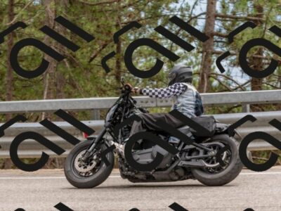 202508031440-DSC_2744_c4_