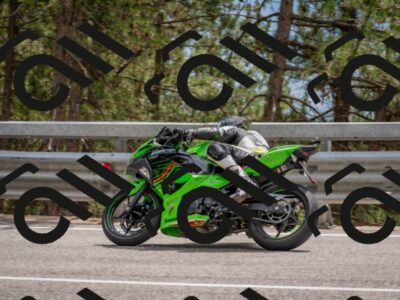 202508031443-DSC_2750_c4_