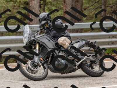 202508031449-DSC_2771_c4_