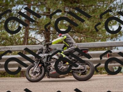 202508031451-DSC_2779_c4_