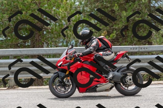 202508031459-DSC_2802_c4_