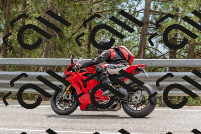 202508031459-DSC_2803_c4_