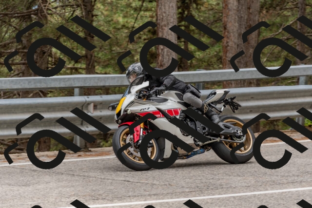 202508031500-DSC_2807_c4_