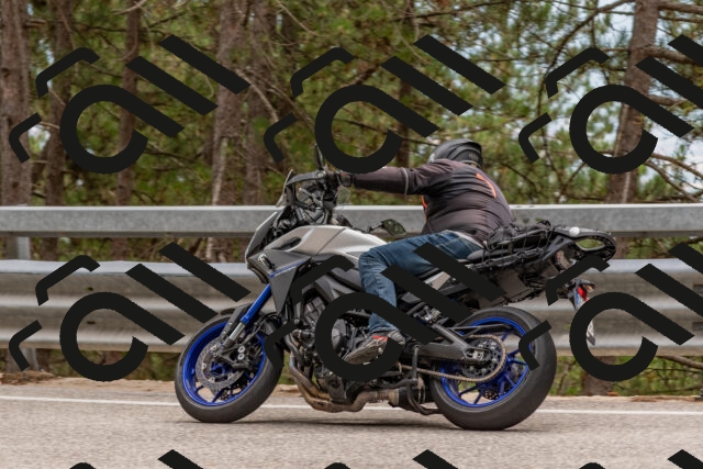 202508031500-DSC_2815_c4_