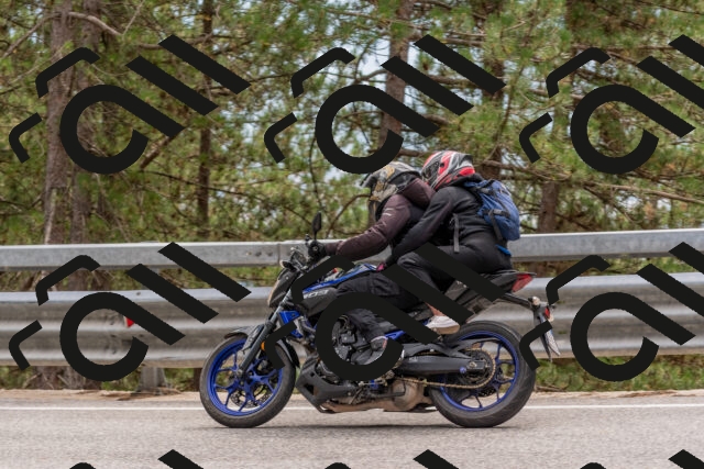 202508031501-DSC_2818_c4_