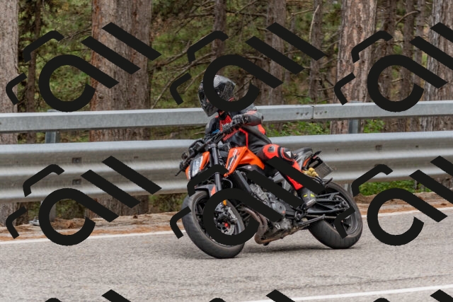 202508031504-DSC_2822_c4_