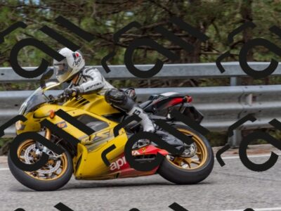 202508031504-DSC_2824_c4_