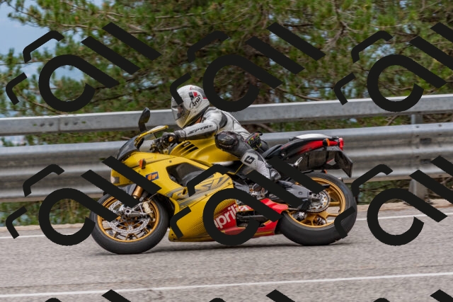 202508031504-DSC_2825_c4_