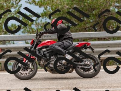 202508031505-DSC_2829_c4_