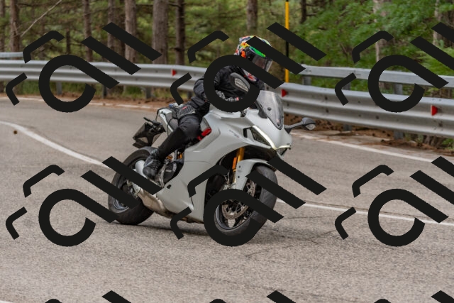 202508031508-DSC_2836_c4_