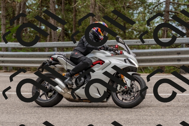 202508031508-DSC_2837_c4_