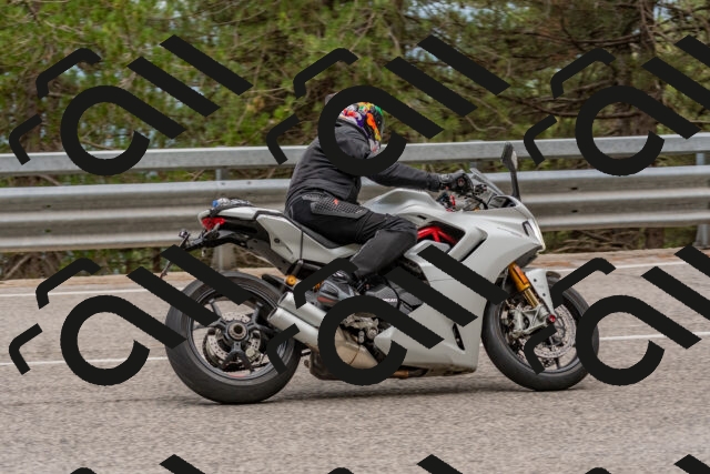 202508031508-DSC_2838_c4_