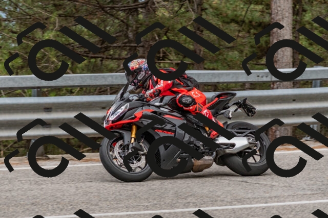 202508031512-DSC_2843_c4_