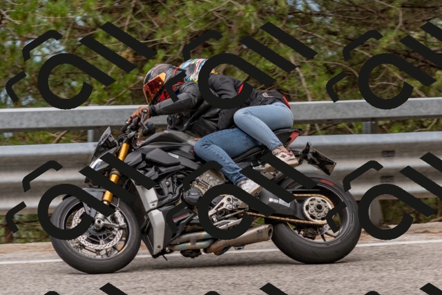 202508031513-DSC_2849_c4_