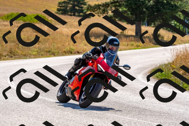 20250802103336-R01_7552_r1