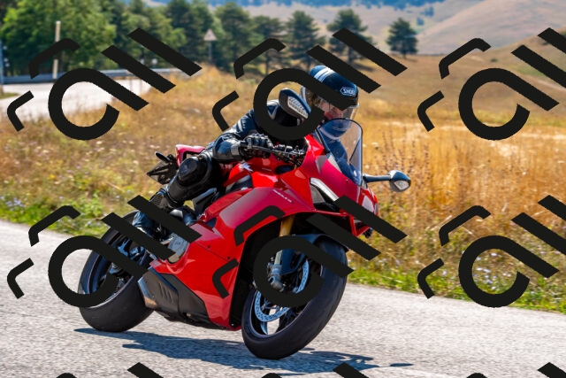 20250802103336-R01_7554_r1