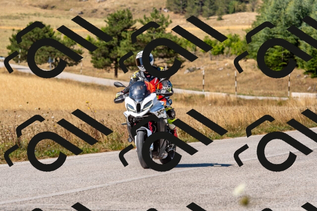 20250802104638-R01_7682_r1