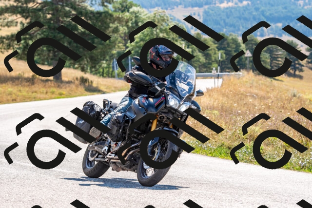 20250802105402-R01_7739_r1