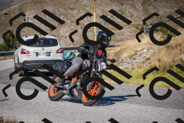 202508091023-DSC_4228_c2