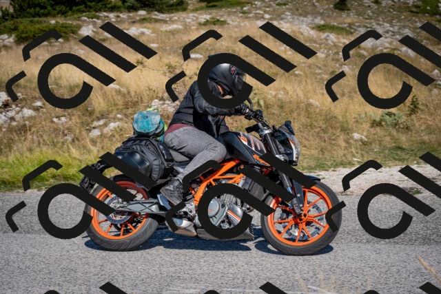 202508091023-DSC_4229_c2