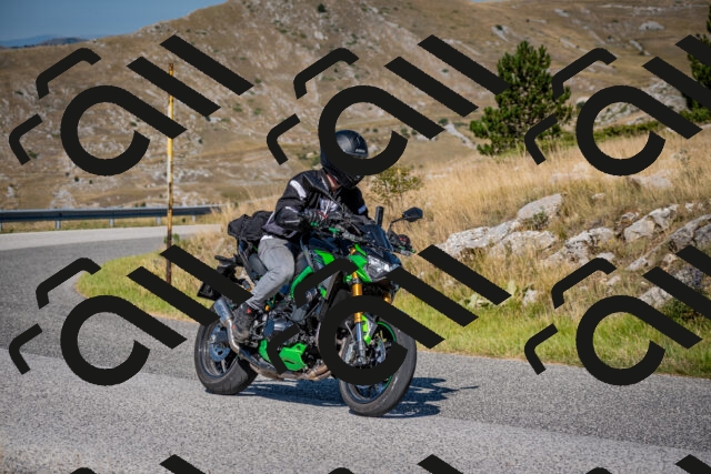 202508091023-DSC_4230_c2