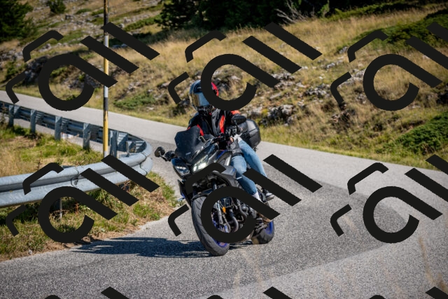 202508091032-DSC_4232_c2