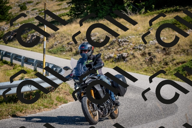 202508091037-DSC_4238_c2