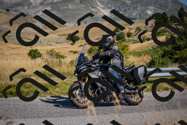 202508091037-DSC_4239_c2