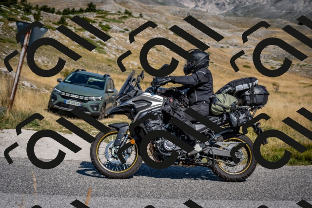 202508091037-DSC_4242_c2