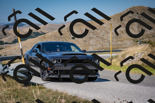 202508091041-DSC_4245_c2