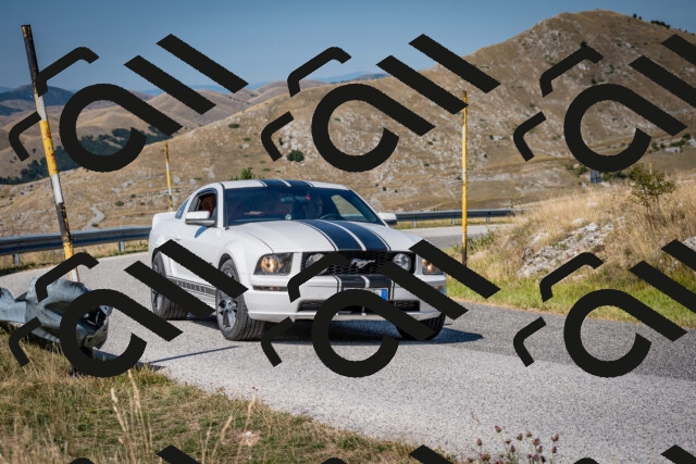 202508091041-DSC_4247_c2