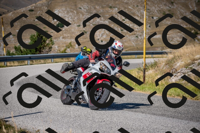 202508091043-DSC_4250_c2