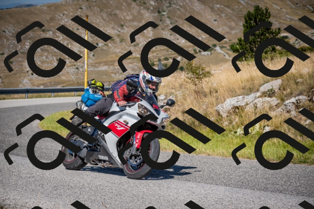 202508091043-DSC_4251_c2