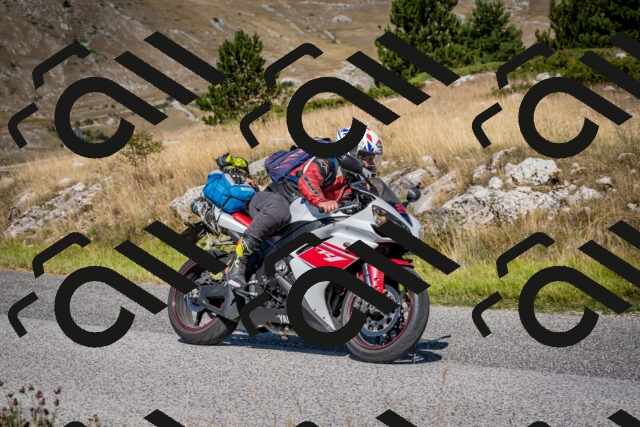 202508091043-DSC_4252_c2