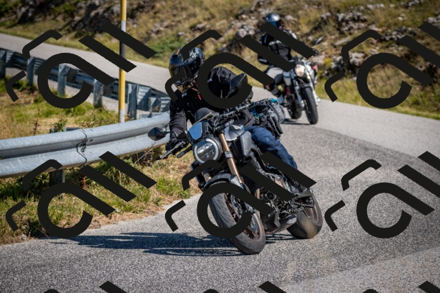 202508091044-DSC_4253_c2