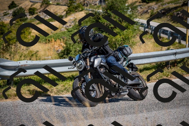 202508091044-DSC_4254_c2