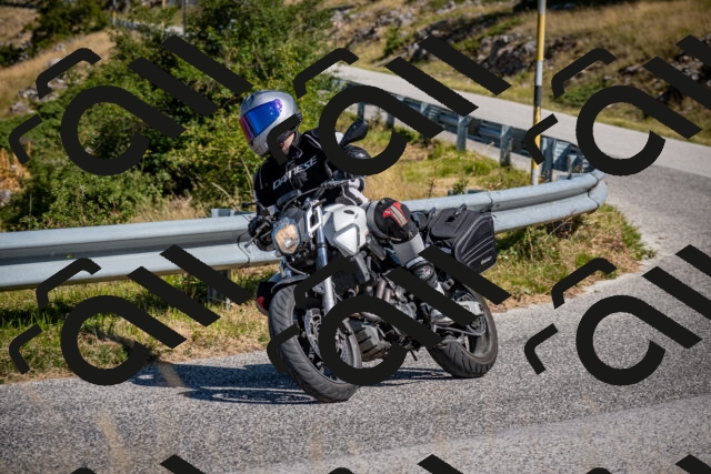 202508091044-DSC_4256_c2